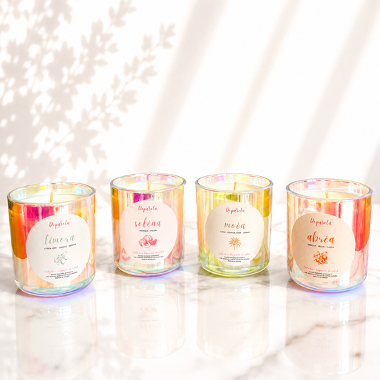 Fragments de Soleil Signature 380g x 4