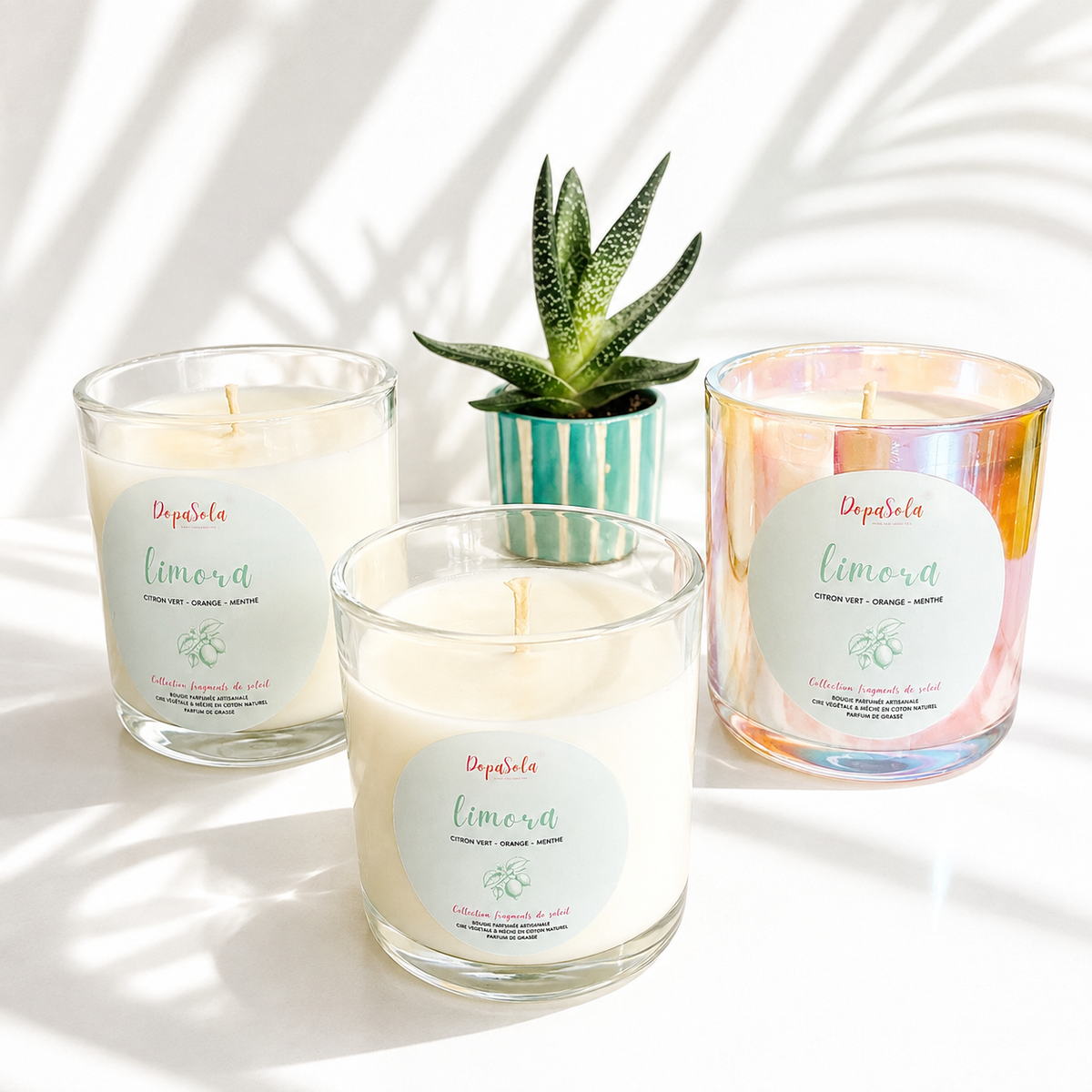 LIMORA Signature 380g : Citron vert, Orange, Menthe
